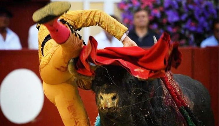 Torero Cornada Bayona 2setiembre2019