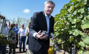 Ziliottosergio vendimia casadepiedra 6marzo2020