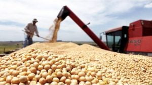 Soja trabajador cosechadora 22mayo2020