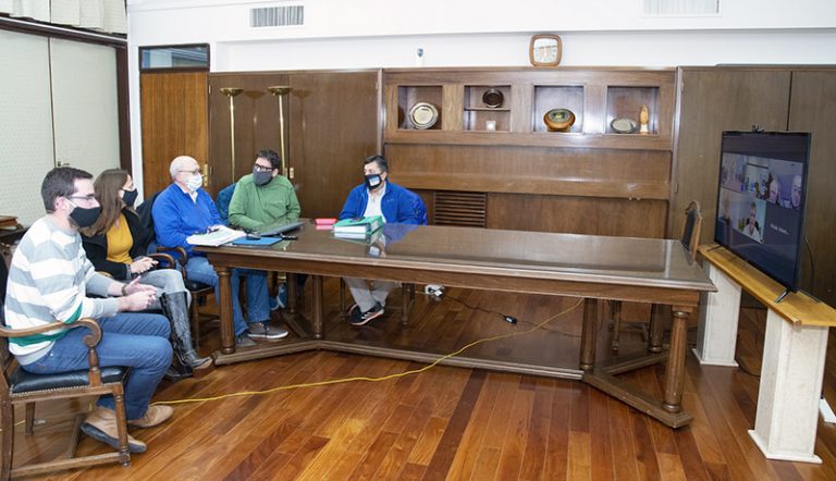 Lastirinestor videoconferencia rio colorado 29junio2020