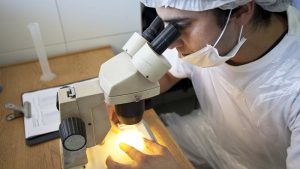 Analisis bioquimico triquinosis 1junio2020