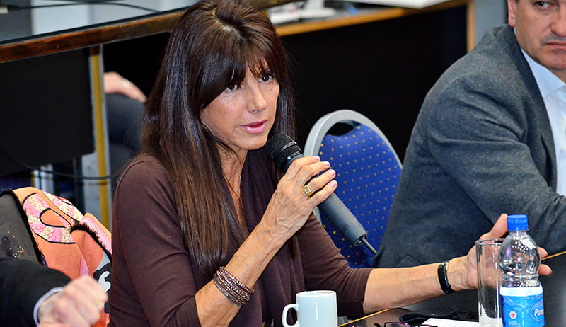 Romeroadriana secretaria turismo plenario diputados 8julio2020