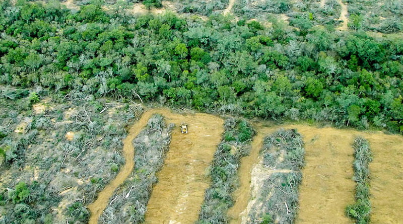 Desmontes Greenpeace 25julio2020