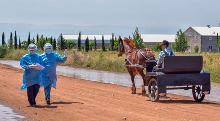 Coronavirus Busquedaactiva Coloniamenonita 29noviembre2020