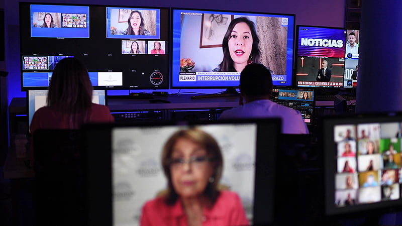 Aborto Debate Senado Videoconferencia 17diciembre2020