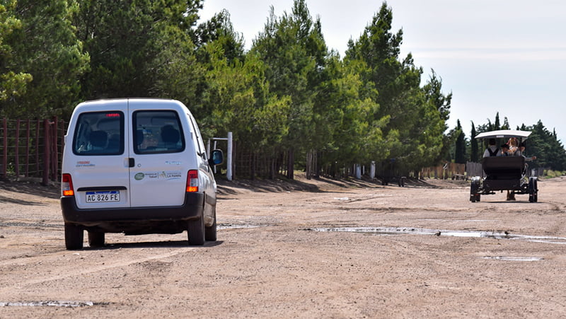 Coronavirus Coloniamenonita Camioneta Sulky 2diciembre2020