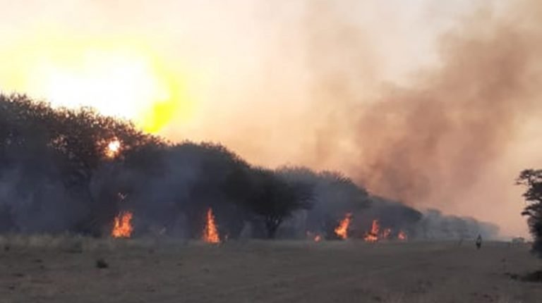 Incendio Monte Calden Luantoro Llamas 10diciembre2020