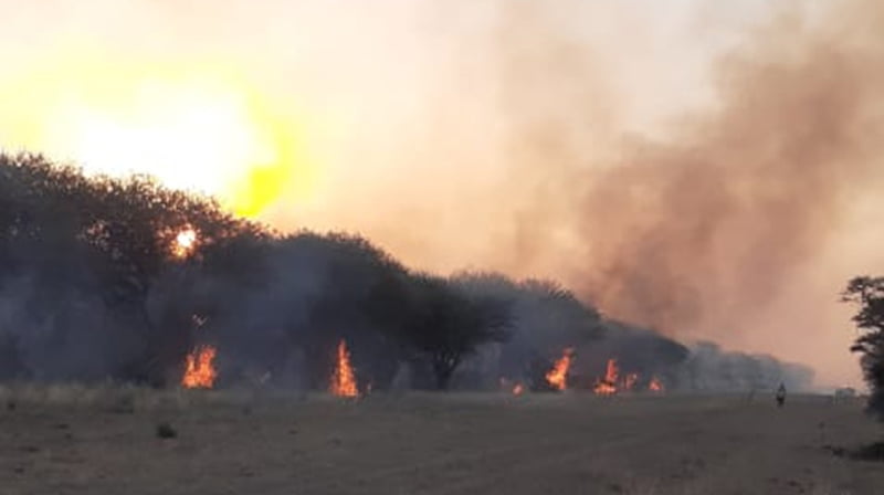 Incendio Monte Calden Luantoro Llamas 10diciembre2020