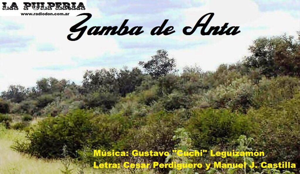 Zamba De Anta