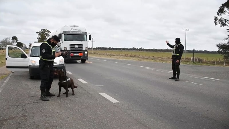 Droga Policia Perro Control Santarosa Rutanacional35 8enero2021