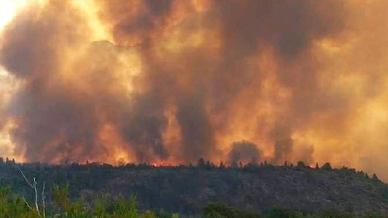 Elbolson Incendio 6enero2021