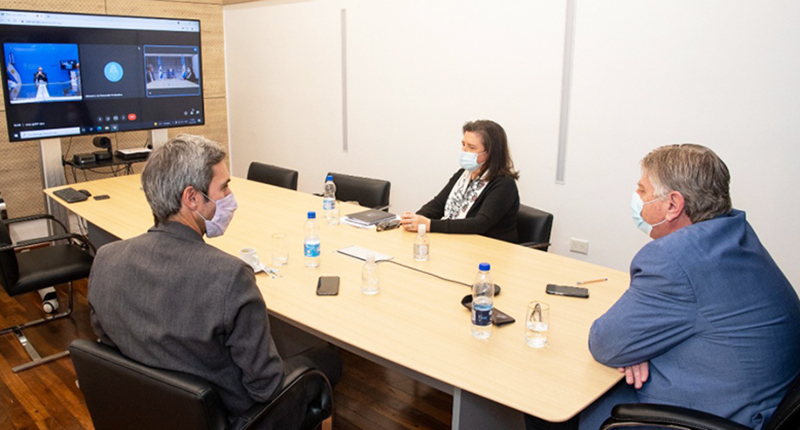 Ziliottosergio videoconferencia kulfasmatias 10junio2021