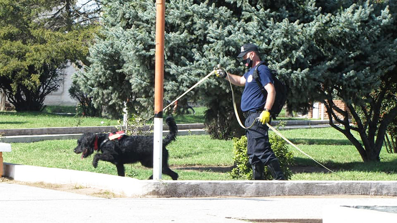 Bombero Pampeano Brigada K9 Perro 17junio2021