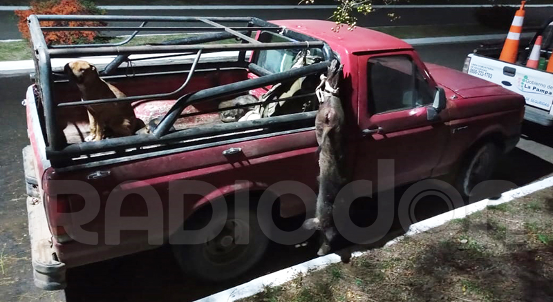 Camioneta Cazadores Demorados Rucanelo 12junio2021