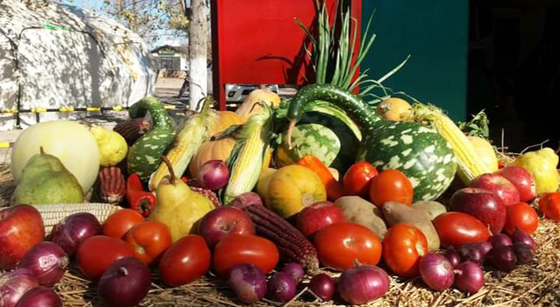 Frutas verduras ente provincial riocolorado 28junio2021