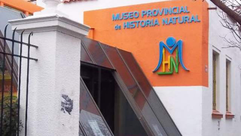 Museo 8dejulio