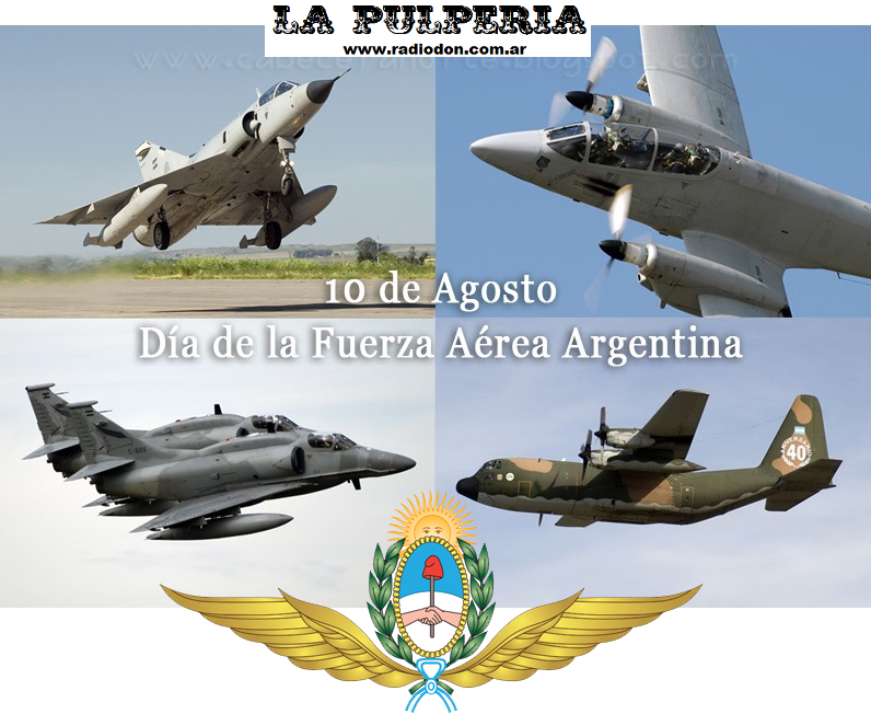 Fuerza aerea argentina