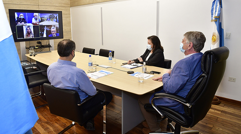 Ziliottosergio Gonzalezfernandez Videoconferencia 31agosto2021