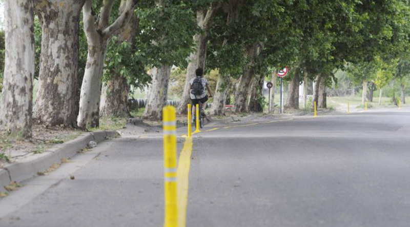 Bicisenda ruta arboles 12agosto2021
