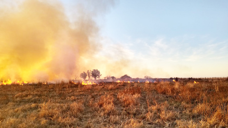 Incendio Pastizalez 14setiembre2021