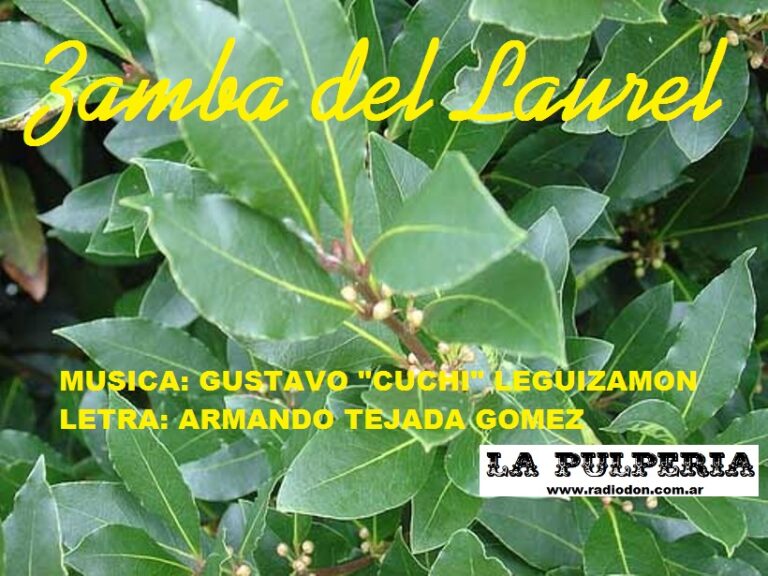 Zamba del laurel
