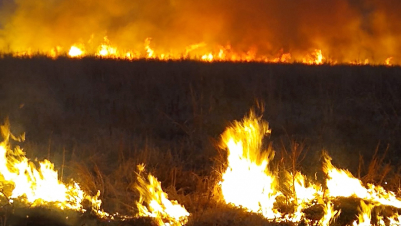 Incendio Cuchilloco 18febrero2022