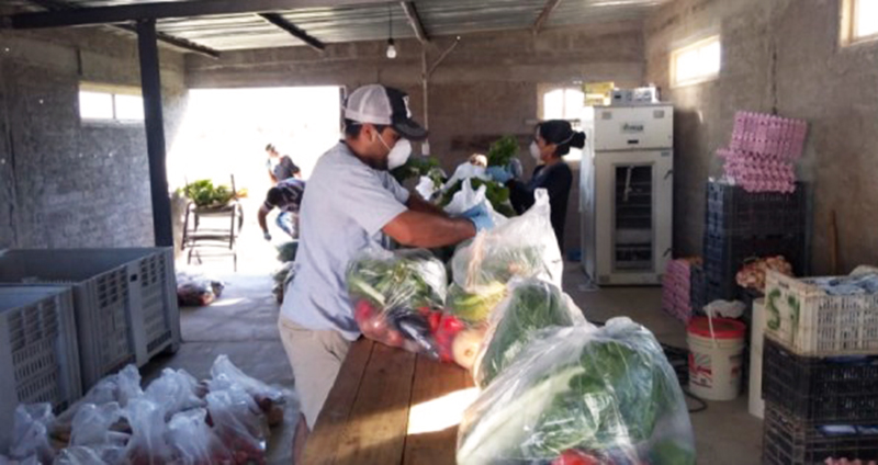 Verduras Productores Bolsones 13febrero2022