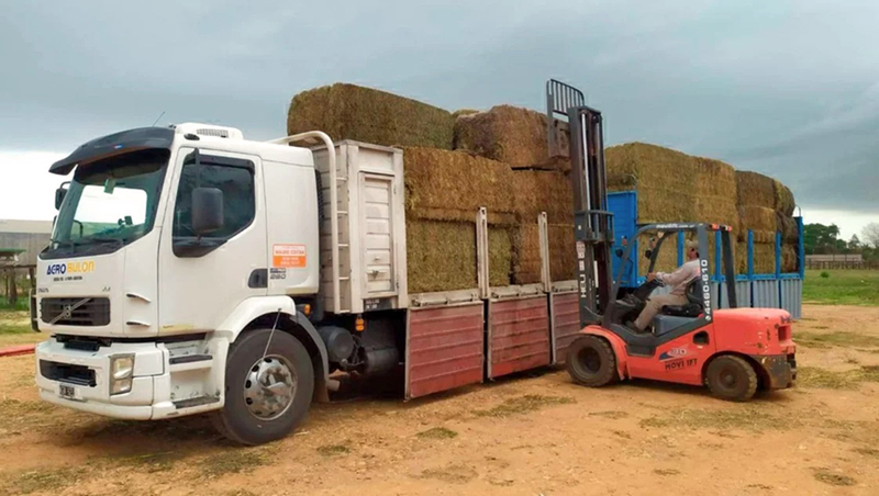 Fardos Carga Camion 1marzo2022