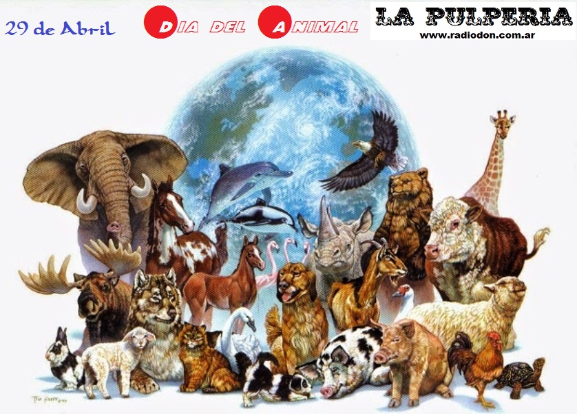 Dia del animal