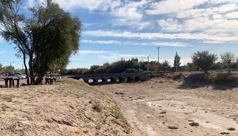 Rio Atuel Puente Cauce Seco Plantas 29abril2022