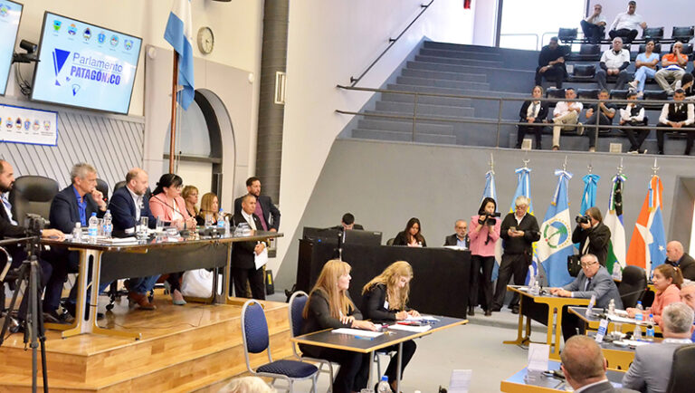 Parlamentopatagonico sesion camaradiputados lapampa 5mayo2022