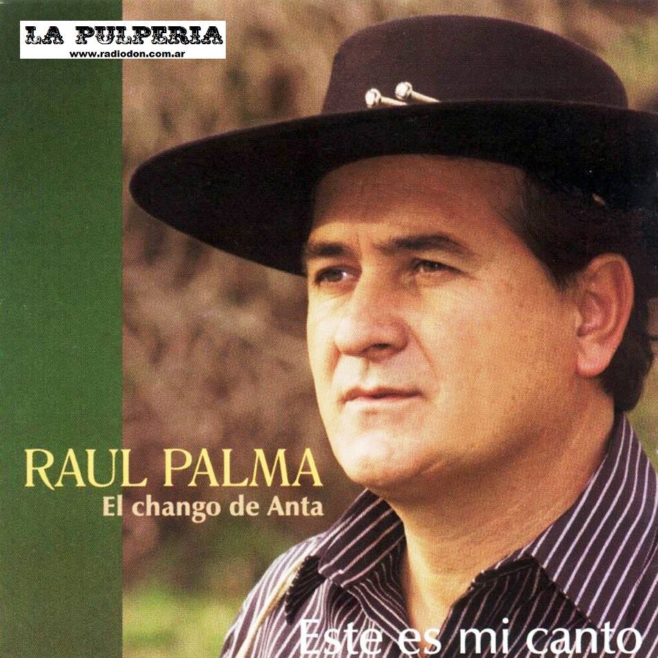 Raul palma