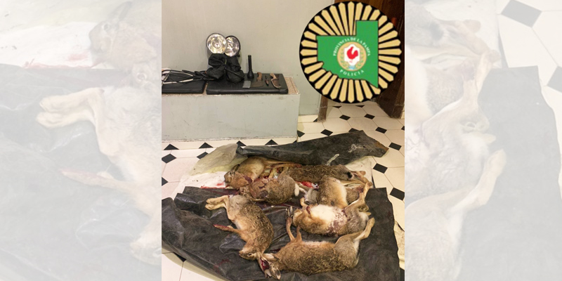 Cazadores liebres castex 25julio2022