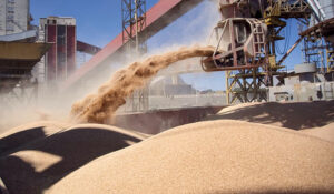Cereales exportacion 9julio2022