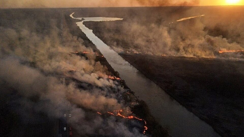 Delta Parana Incendios 20agosto2022