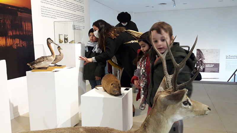 Muestra naturaleza cultura animal ninio 17agosto2022