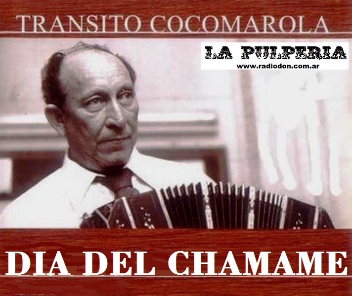 Transito cocomarola (muere)