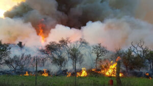 Incendio quema prescripta defensacivil 12setiembre2022