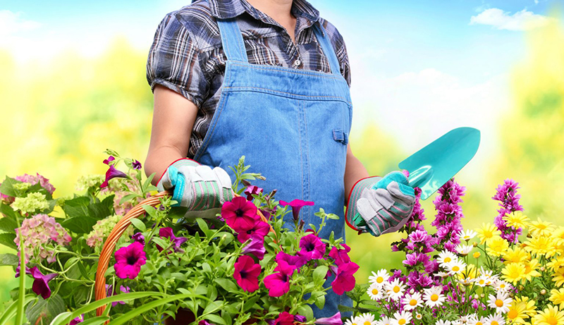 Jardineria verano flores 22setiembre2022