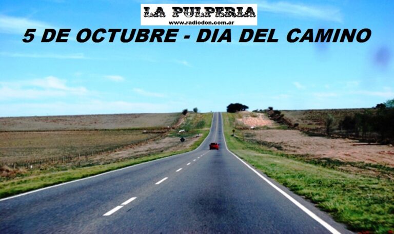 Dia del camino ruta35