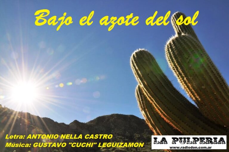 Bajo el azote del sol