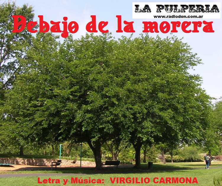Debajo de la morera