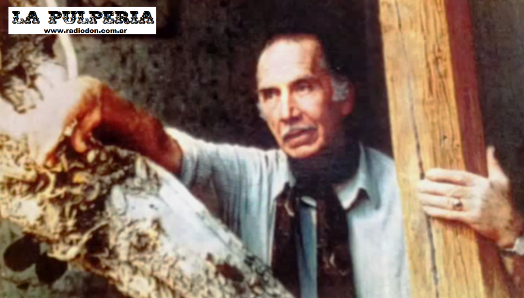 Saul quiroga