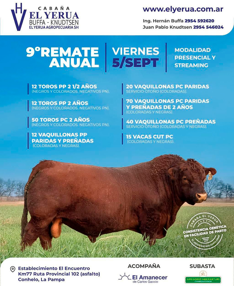 Elyerua remate1