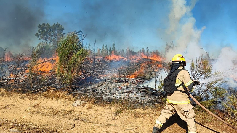 Chile Incendios