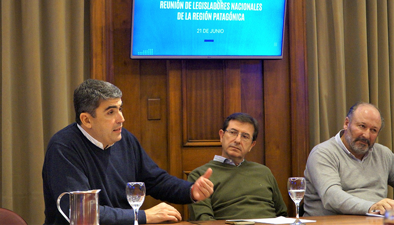 Bensusandaniel encuentro legisladorespatagonicos came 21junio2023