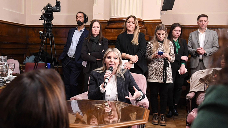 Hualavictoria discurso diputados 6junio2023