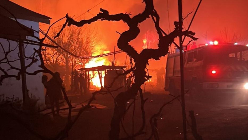 Caballos Incendio Muertos Mendoza 22julio2023