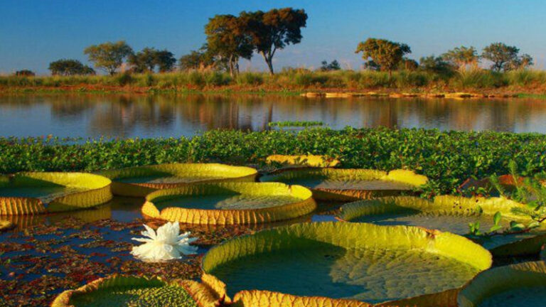 Parque nacional santa fe