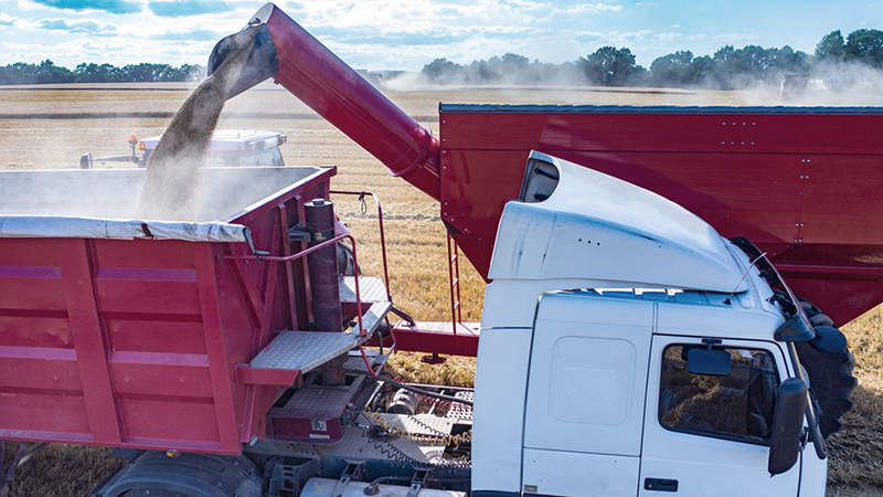 Transporte Cereales Cosecha 21julio2023